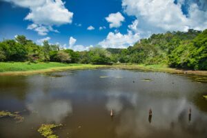 =khao-sok-national-park