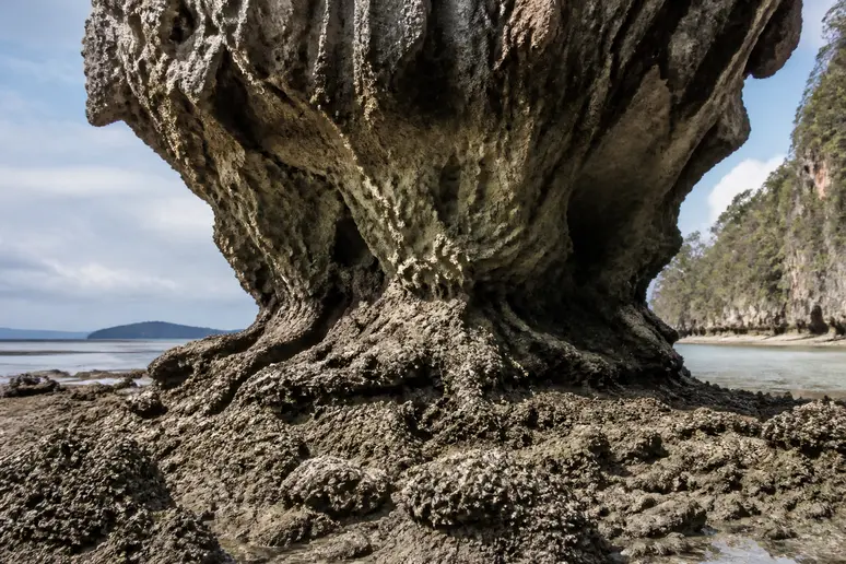 Detaillierte Ansicht der durch Gezeiten geformten Erosion am Fuß von Ko Tapu, der berühmten Felsnadel Thailands.