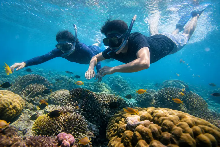 Begeisterte Schnorchler erkunden die farbenprächtige Unterwasserwelt mit Korallenriffen und tropischen Fischen rund um Koh Rang.