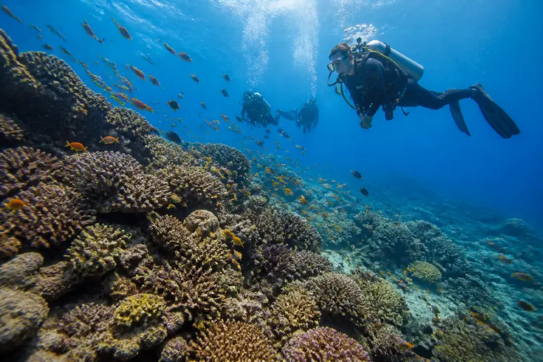 Lokale Taucher erkunden eine lebendige Korallenriff-Unterwasserwelt mit kristallklarer Sicht und tropischen Fischen.