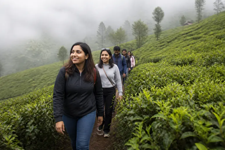 Beste Reisezeit Malaysia Hochland: Touristen wandern durch grüne Teeplantagen der Cameron Highlands bei mildem Wetter.