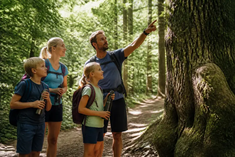 Eine deutsche Familie unternimmt eine Wanderung durch einen idyllischen Wald und entdeckt dabei einen beeindruckenden alten Baum.