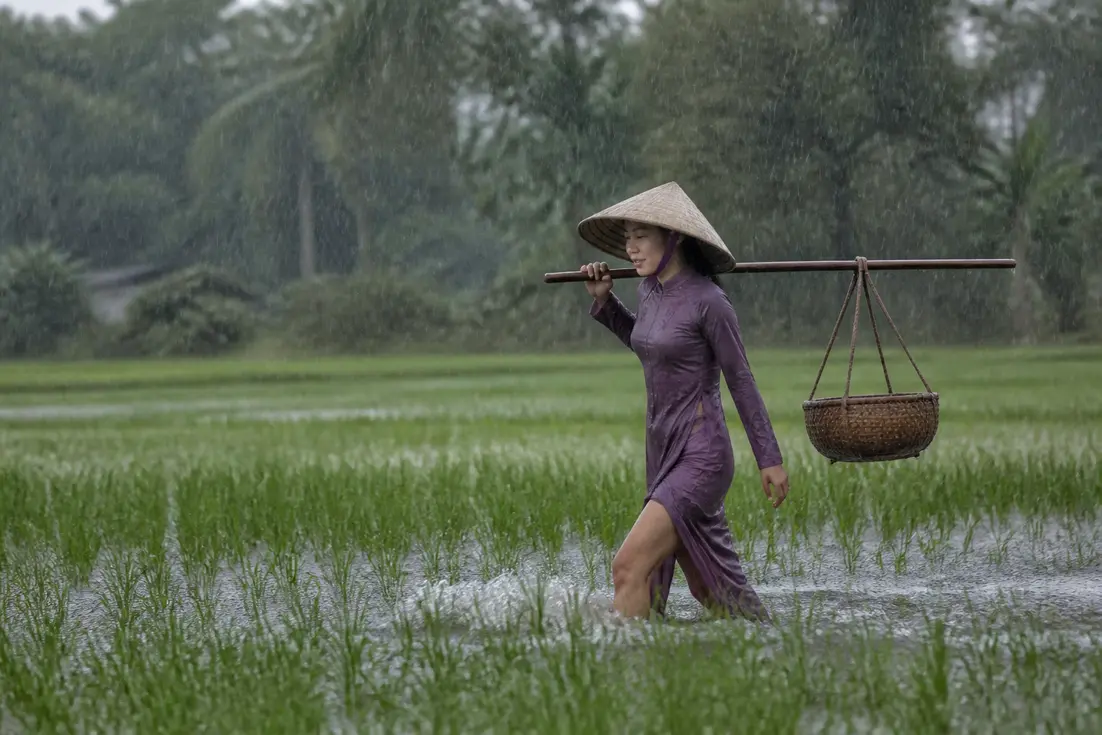 Wann ist Regenzeit in Vietnam und was erwartet dich?