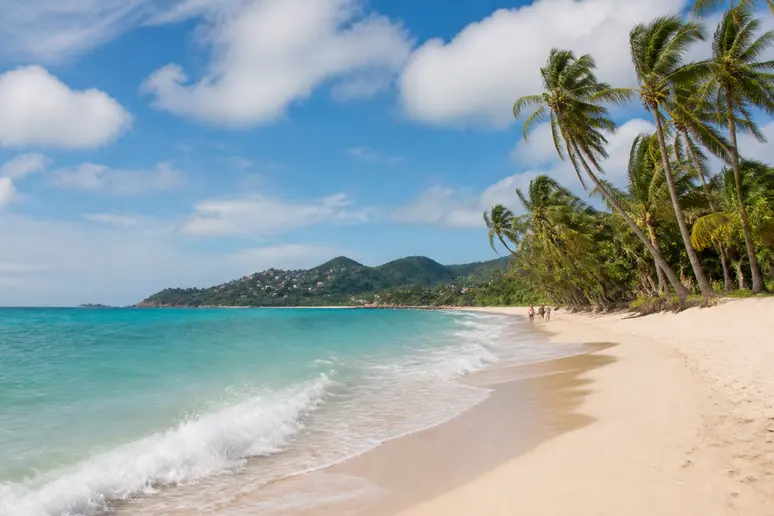 Sonniger tropischer Strand auf Koh Samui im Juni mit klarem Wasser und Palmen