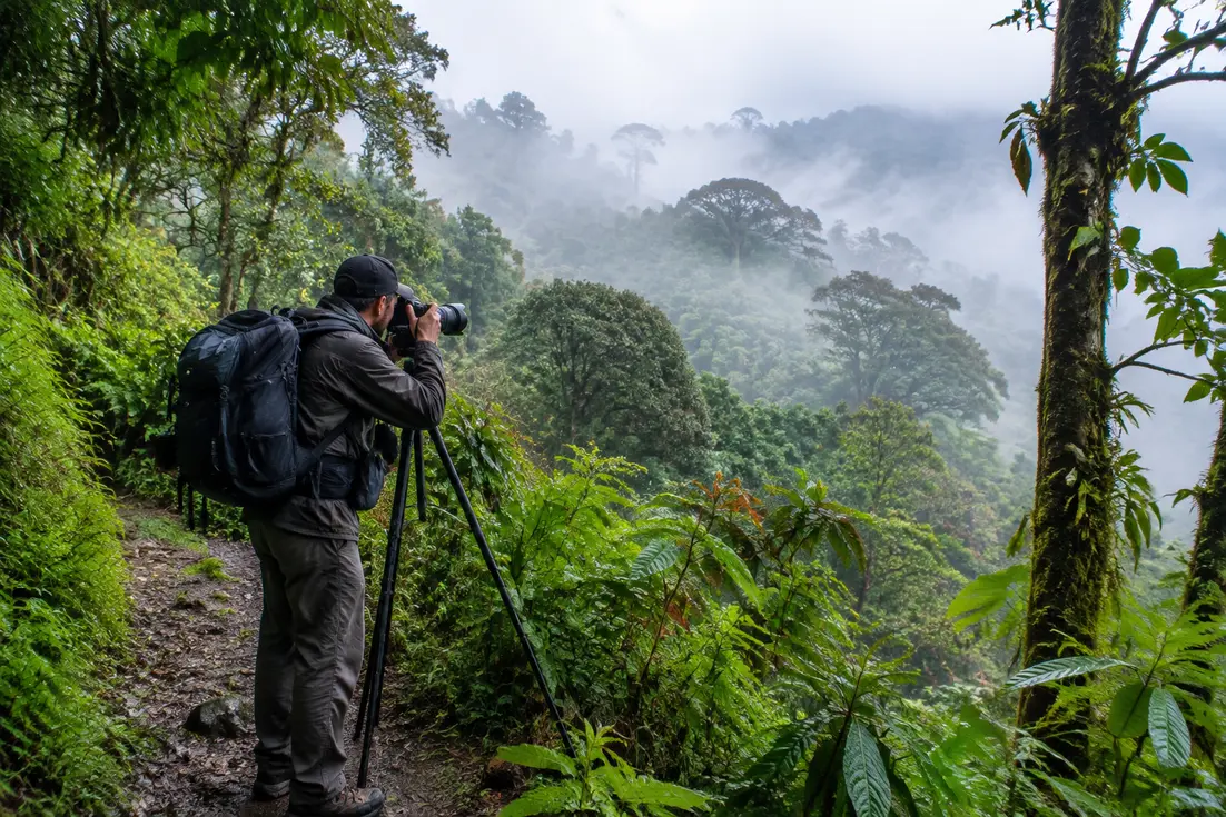 Wanderer auf einem feuchten Naturpfad im doi inthanon national mit dichtem tropischen Wald