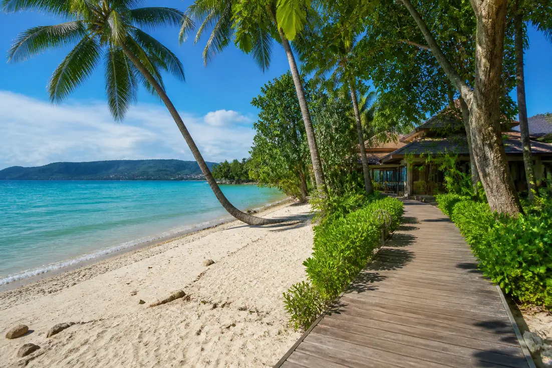 Ein malerischer Strandpfad führt durch grüne Palmen zum Kho Khao Beach Resort am türkisblauen Meer.