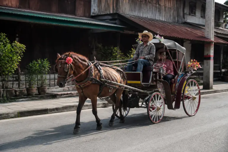 Historische Pferdekutsche als alltägliches Verkehrsmittel auf einer Straße in Lampang Thailand