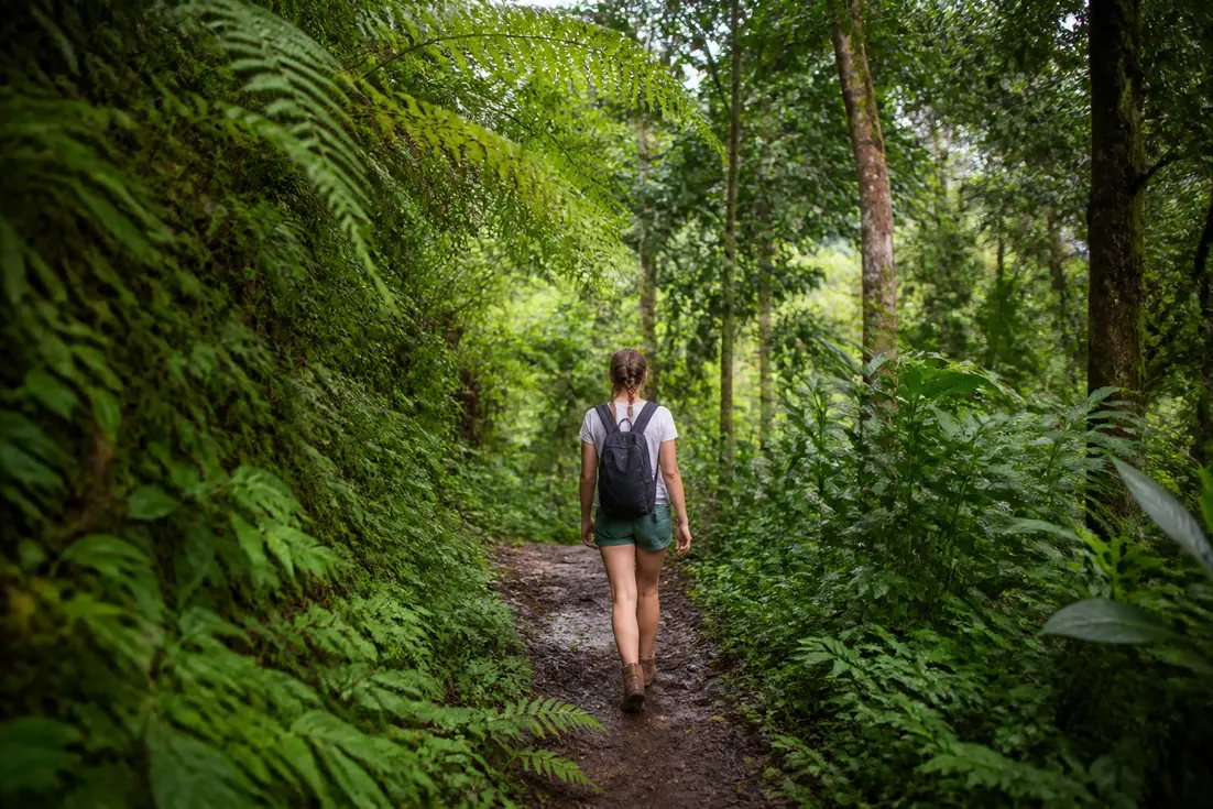 Wanderer auf dem malerischen munduk rundwanderweg im üppigen balinesischen regenwald