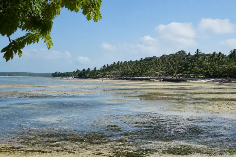 Flaches Küstenwasser und freiliegender Strand bei Ebbe an der Relax Bay auf Koh Lanta