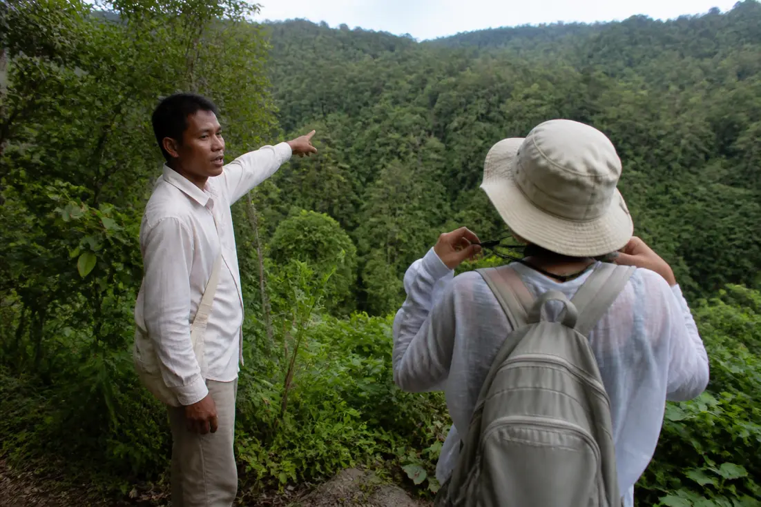 Ein Reiseleiter zeigt die Natur am Khao Phra Tae Nationalpark, passend zu den sehenswürdigkeiten auf phuket.