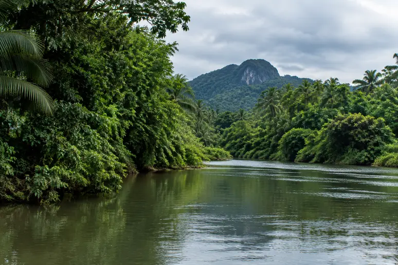 Üppige grüne Tropenlandschaft und Flussufer in der Naturregion von Takua Pa
