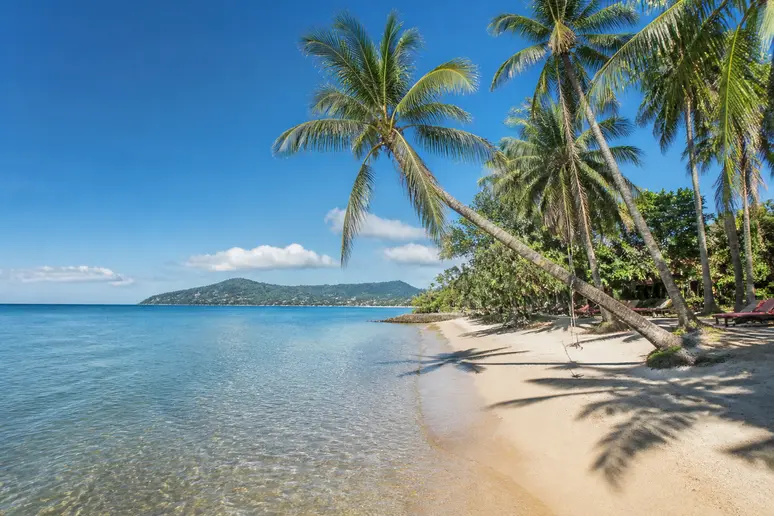 Ruhiges, blaues Wasser und Palmen an einem Traumstrand im Samui-Archipel im Sommer