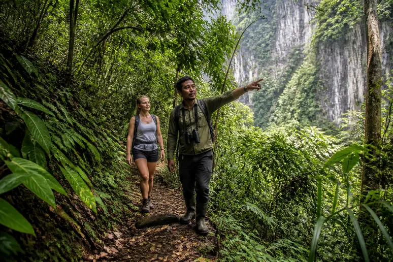 Geführte Dschungelwanderung auf feuchten Regenwaldpfaden im Khao Sok Nationalpark Thailand