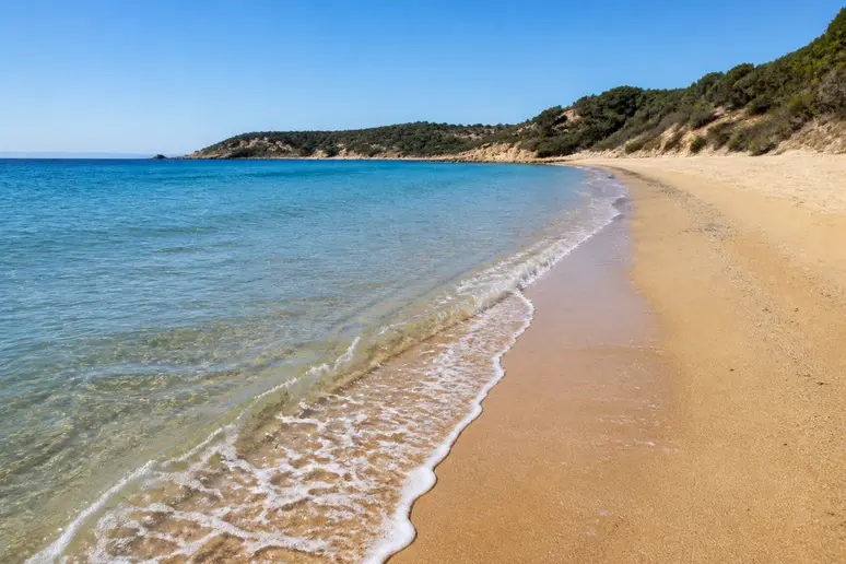 Ein sauberer und windiger Strandabschnitt während der optimalen Reisezeit.