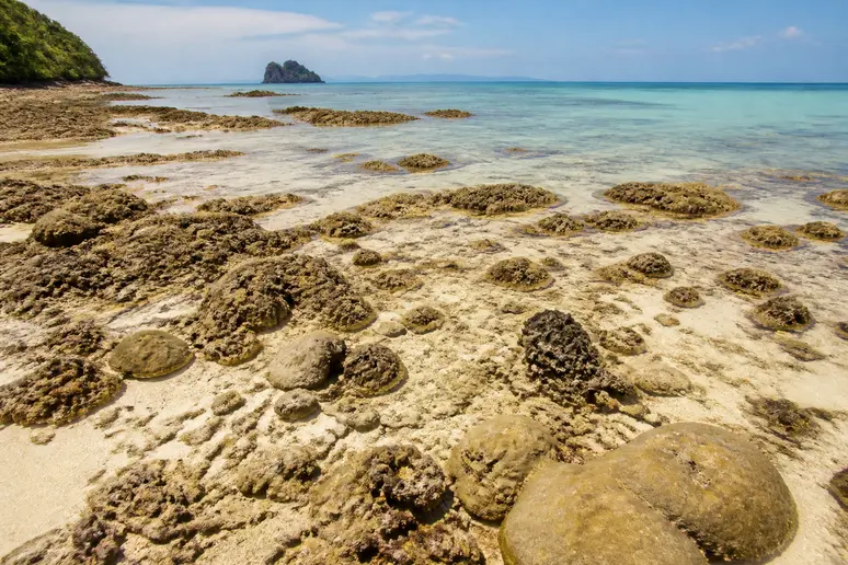 Bei Ebbe freiliegende Korallen und Steine am Strand des Thapwarin Resorts auf Koh Hai